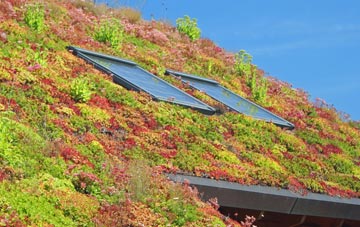 Red Rock living roof systems